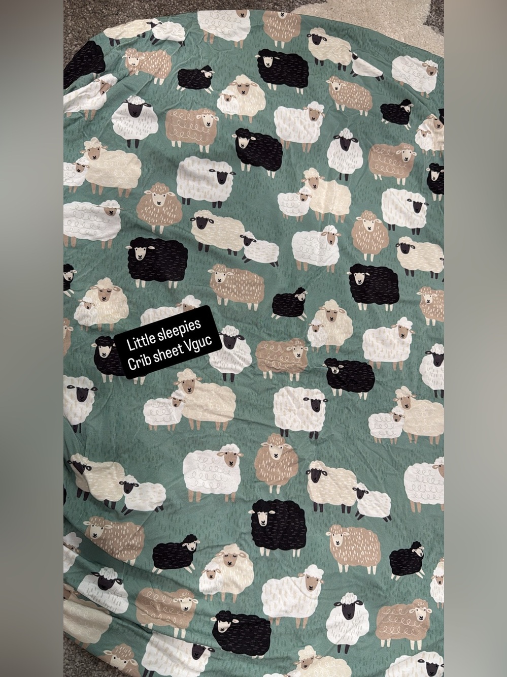 Little Sleepies Light Mint Sheep Print Bedding